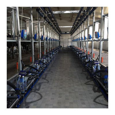 Ordeñadora de la raspa de arenque 180v de ordeño de la vaca automática eléctrica de la sala