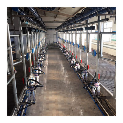 Máquina de la succión de la leche de vaca de la sala de ordeño de la raspa de arenque de la eficacia alta 4KW