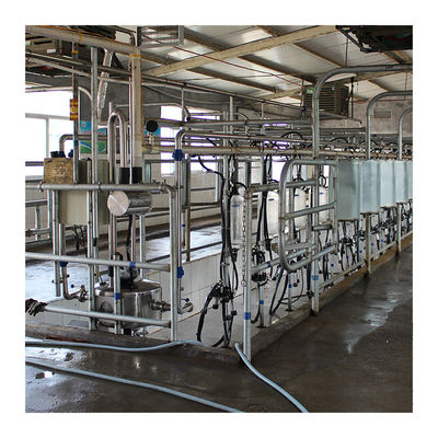 Sala de ordeño de la raspa de arenque de la granja lechera 4KW con el vidrio de la categoría alimenticia