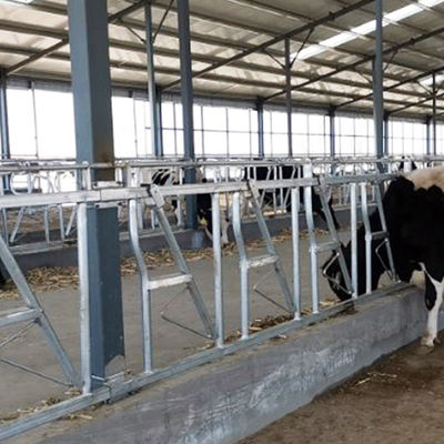 llaves de cabeza del grueso 3m m del lugar del resto para la cerradura principal de los ganados vacunos 8 un sistema