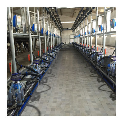 La granja utiliza el sistema automático electrónico de la máquina de la vaca de la sala de ordeño de la metrología