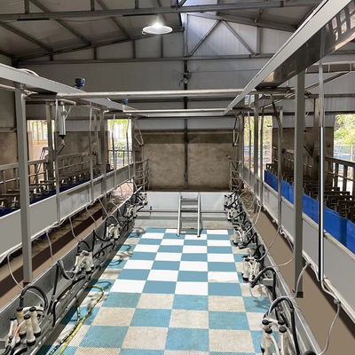 Equipo rápido paralelo de la sala de ordeño del modo de las ovejas fácil actuar