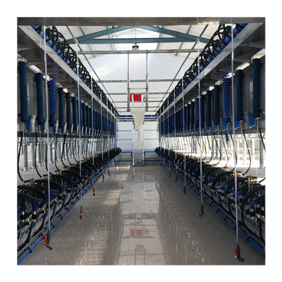 Sala de ordeño automática de la raspa de arenque del metro de la leche Hall Cow Milking Machine