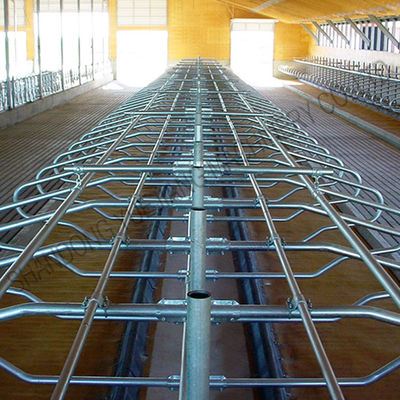 Granero libre galvanizado de la parada del tubo