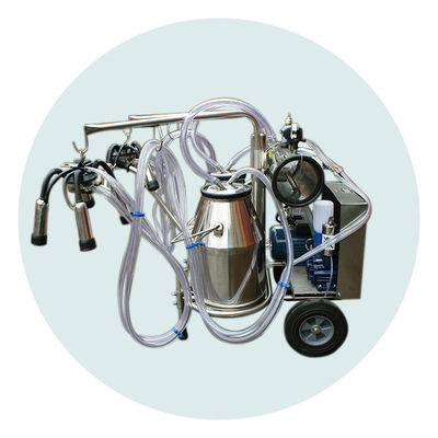 2 cubos 220L/Min Cow Farm Milk Machine 24 vacas por hora