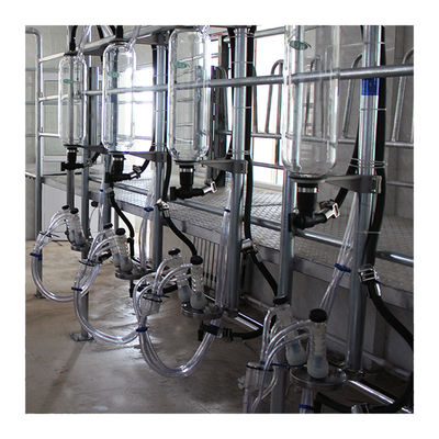 Líneas paralelas máquina automática de la leche de la sala de ordeño de la raspa de arenque de 20T/H