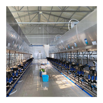 Liberación rápida paralela automática de la sala de ordeño de la raspa de arenque de la vaca