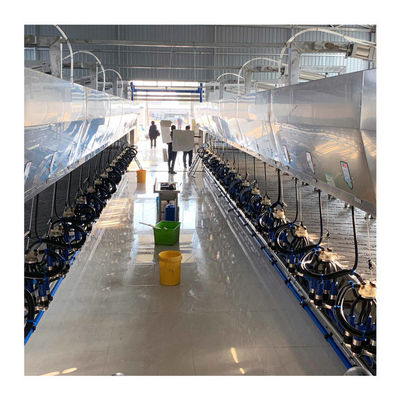 Liberación rápida paralela automática de la sala de ordeño de la raspa de arenque de la vaca