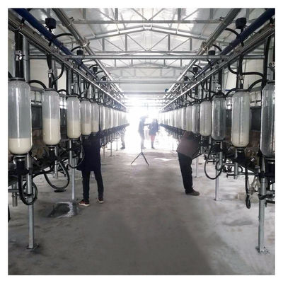 Sala de ordeño automática de la raspa de arenque del vacío 2100L con la función de Sunction