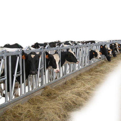 Equipo de la maquinaria agrícola de 20 de los sistemas de la maquinaria agrícola llaves de cabeza de la vaca lechera
