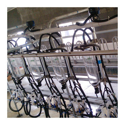 Sala de ordeño automática de la raspa de arenque del vacío 2100L con la función de Sunction
