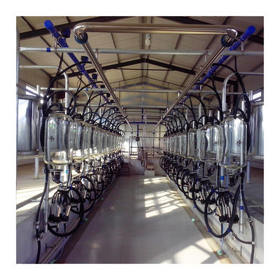 tipo sala de la raspa de arenque de ordeño automática de poco ruido de la sala de ordeño de la unidad de 5T/h 20