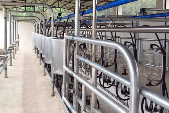 tipo sala de la raspa de arenque de ordeño automática de poco ruido de la sala de ordeño de la unidad de 5T/h 20