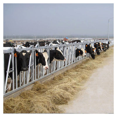 Equipo de alimentación de la corrosión del grueso 3m m de la vaca de la lechería principal anti de la cerradura