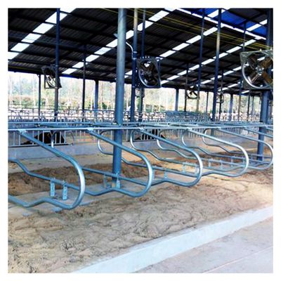 granero libre de la parada de los 200cm galvanizado alrededor del tubo y del tubo de Stell para la vaca