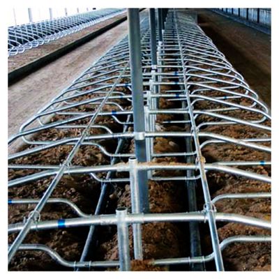 granero libre de la parada de los 200cm galvanizado alrededor del tubo y del tubo de Stell para la vaca