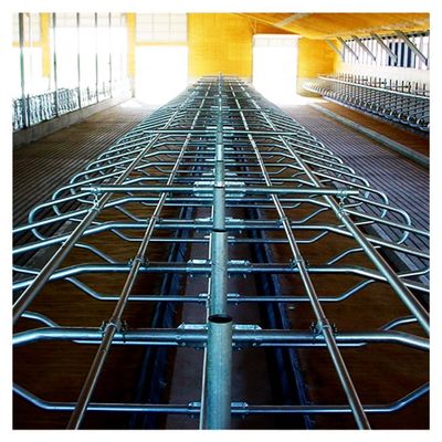 granero libre de la parada de los 200cm galvanizado alrededor del tubo y del tubo de Stell para la vaca