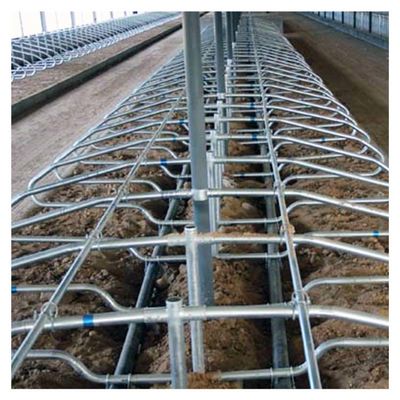 Paradas libres de doblez ergonómicas del ganado del equipo de cultivo de la vaca del solo lado