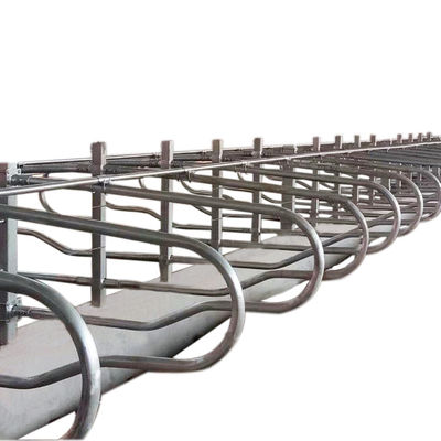 Prueba libre del moho del granero de la parada de la altura los 95cm para la granja lechera