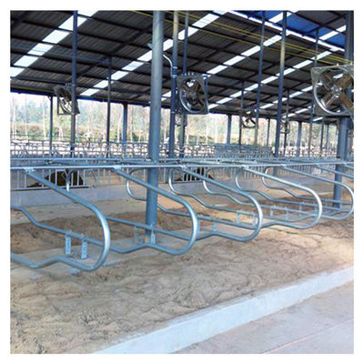 Paradas libres de doblez ergonómicas del ganado del equipo de cultivo de la vaca del solo lado
