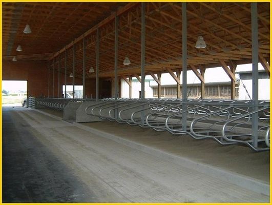 El tipo comparativo 1.30m/cow cerca a Cattle Free Stall de medida adaptable
