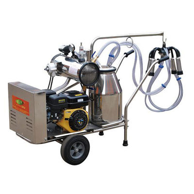 equipo automático del ordeño de ovejas de la máquina SS304 de la leche 24cows/H
