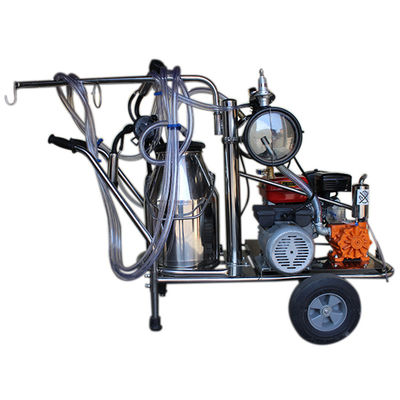 equipo automático del ordeño de ovejas de la máquina SS304 de la leche 24cows/H