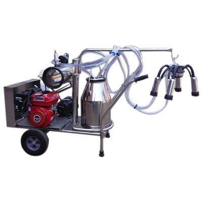 equipo automático del ordeño de ovejas de la máquina SS304 de la leche 24cows/H