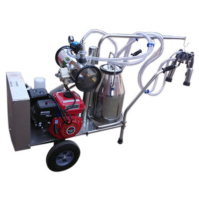 equipo automático del ordeño de ovejas de la máquina SS304 de la leche 24cows/H