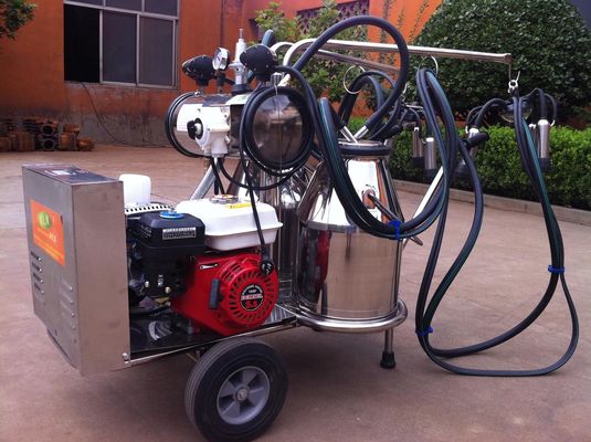 Ordeñadora móvil portátil de los SS de la categoría alimenticia con el motor de gasolina