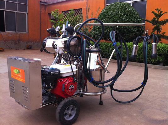 Ordeñadora móvil portátil de los SS de la categoría alimenticia con el motor de gasolina