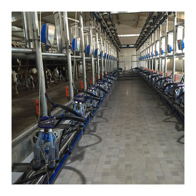Máquina de la succión de la leche de vaca de la sala de ordeño de la raspa de arenque de la eficacia alta 4KW