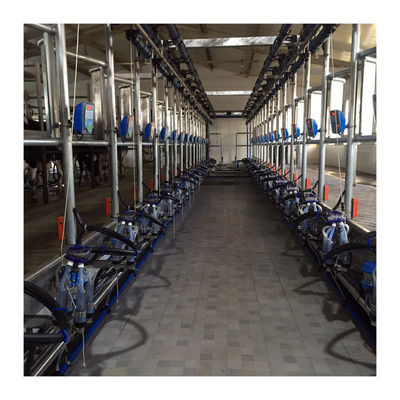 Máquina de la succión de la leche de vaca de la sala de ordeño de la raspa de arenque de la eficacia alta 4KW
