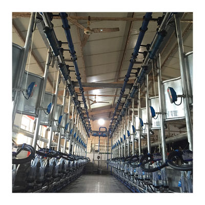 Máquina de la succión de la leche de vaca de la sala de ordeño de la raspa de arenque de la eficacia alta 4KW