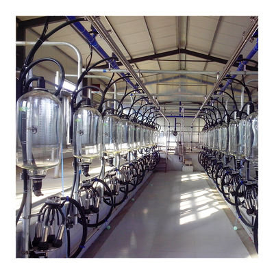 Tipo electrónico del hueso de pescados de la sala de ordeño de la cabra 2300L/min