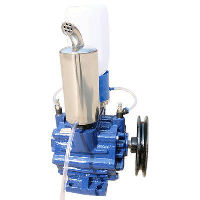 Freno eléctrico líquido de la bomba de vacío de Ring Single Stage Rotary Vane