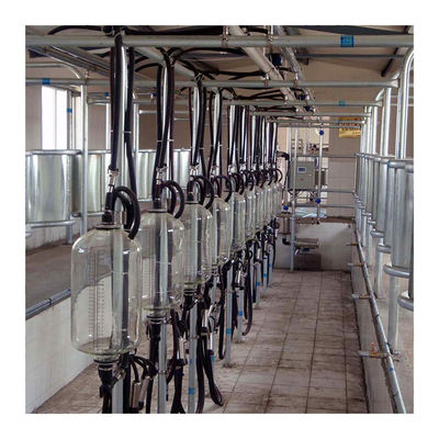 Sala de ordeño de la raspa de arenque de la granja lechera 4KW con el vidrio de la categoría alimenticia
