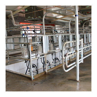 Sala de ordeño de la raspa de arenque de la granja lechera 4KW con el vidrio de la categoría alimenticia