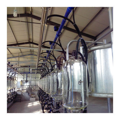 Raspa de arenque SS304 que ordeña la sala de ordeño del paralelo de la tubería del PVC de Pasillo