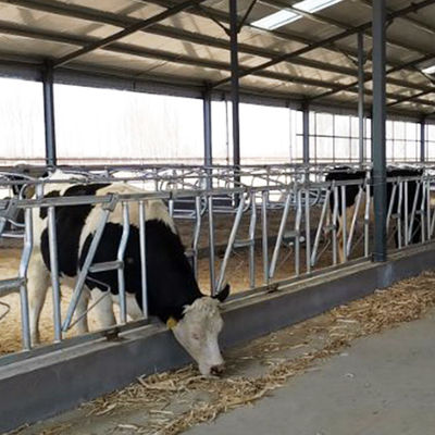 llaves de cabeza del grueso 3m m del lugar del resto para la cerradura principal de los ganados vacunos 8 un sistema