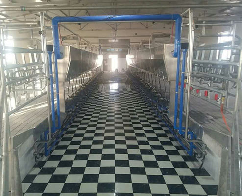Equipo electrónico del metro de la sala de ordeño de la raspa de arenque de la vaca de la cabra de la planta