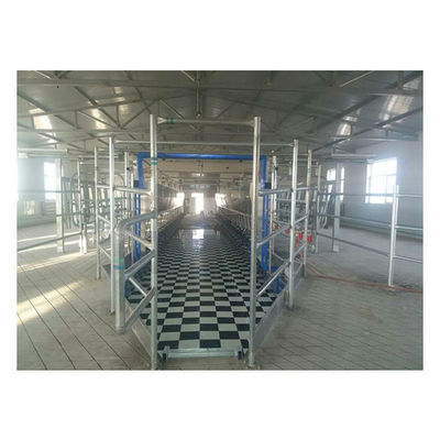 Equipo electrónico del metro de la sala de ordeño de la raspa de arenque de la vaca de la cabra de la planta