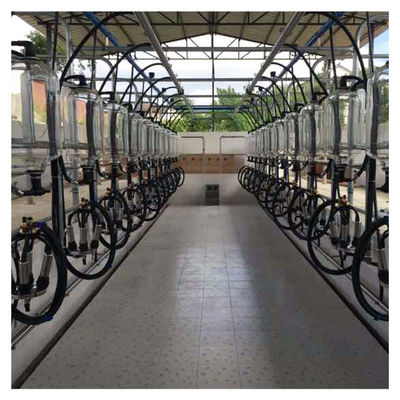 Sistema de medición de la botella de vidrio de la sala de ordeño de la raspa de arenque de la vaca de la cabra de la granja lechera
