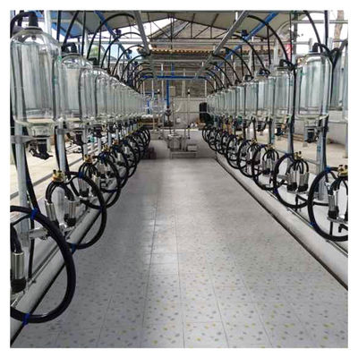 Sistema de medición de la botella de vidrio de la sala de ordeño de la raspa de arenque de la vaca de la cabra de la granja lechera