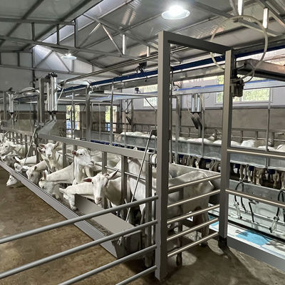 Sala de ordeño flexible de la cabra del alto de la productividad de la lechería de las granjas de ordeño equipo de la sala