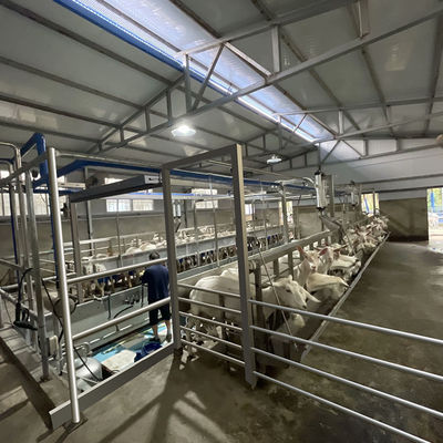 Equipo de la condición de la sala de ordeño de la cabra de las ovejas del metro eléctrico de Digitaces nuevo