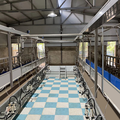 Canal de alimentación de la sala de ordeño de la raspa de arenque de la cabra SUS304 tipo rápido tubería de la salida