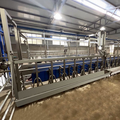 Canal de alimentación de la sala de ordeño de la raspa de arenque de la cabra SUS304 tipo rápido tubería de la salida