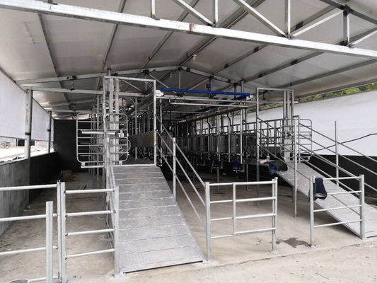 Sala de ordeño adaptable de la raspa de arenque de la cabra SUS304